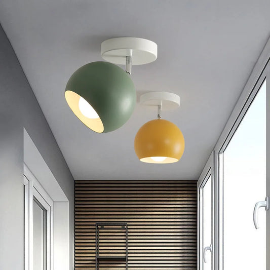 Verstelbare ijzeren plafondlamp met koepel en E27-fitting