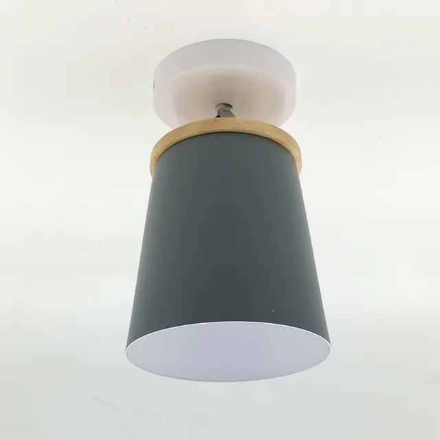 plafondlamp verstelbare ijzeren koepel e27