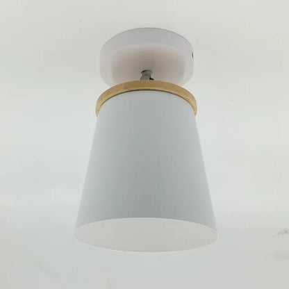 Verstelbare koepel van de ijzeren plafondlamp voor gericht licht