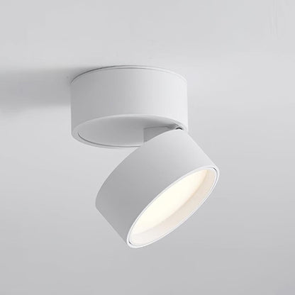 Stijlvolle Favilla Oppervlakte Plafondlamp voor een Moderne Sfeer