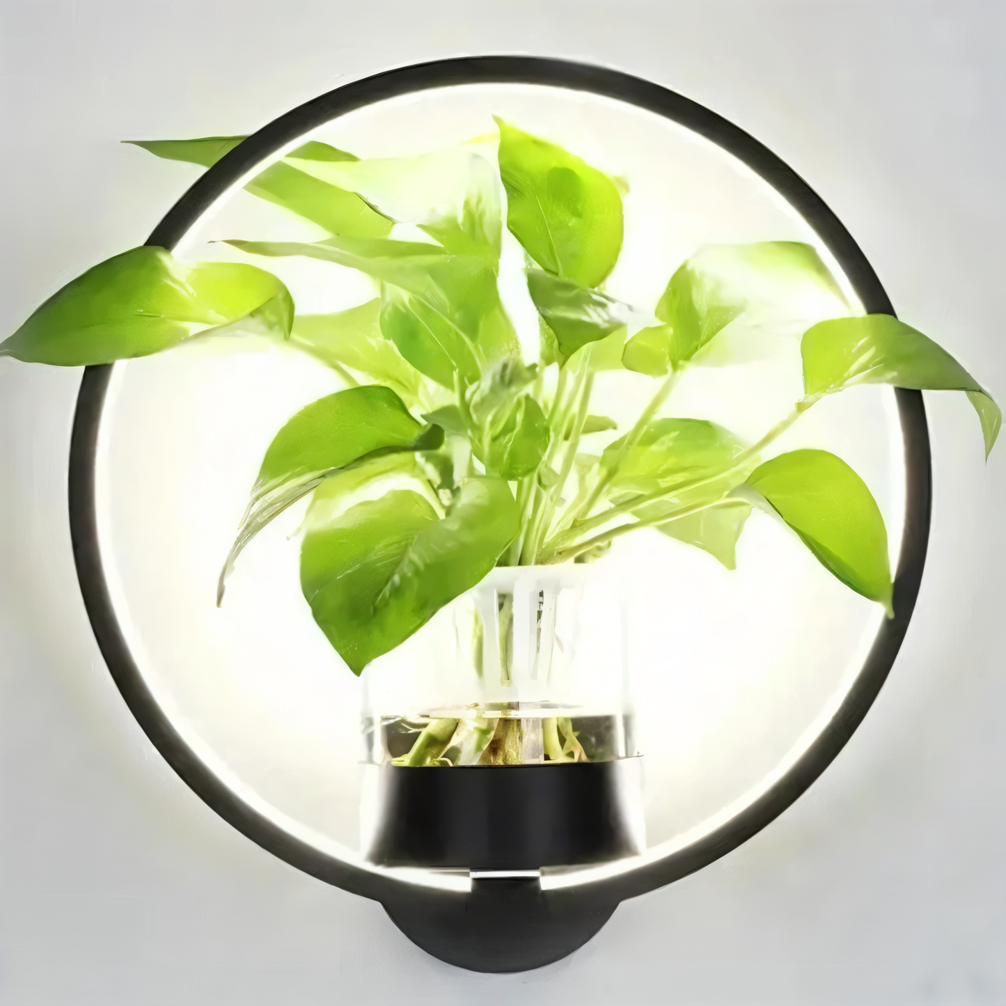 wandlamp led met plantenhouder van ijzer