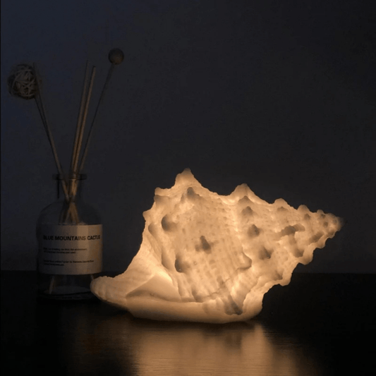 Schelpen nachtlampje met warmwit licht voor sfeervolle verlichting