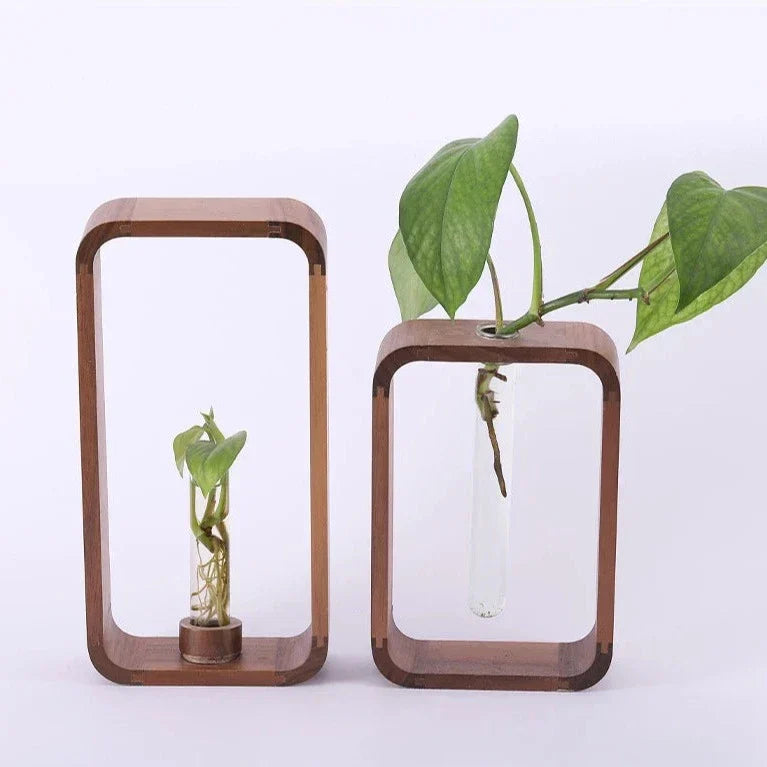 Decoratieve stekjesvaas met helder glas en naturel houten frame