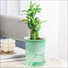 Groen