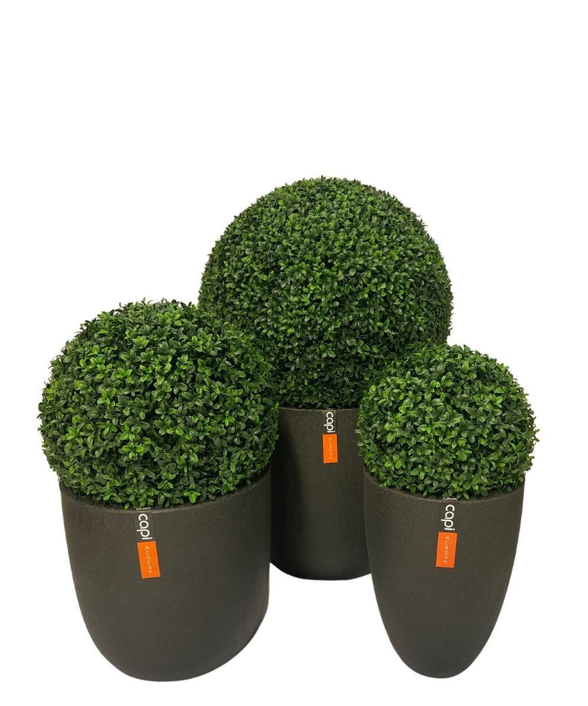 buxus kunstbol in romeinse stijl uv d55cm