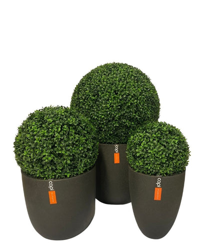 Buxus kunstbol in Romeinse stijl UV D55cm