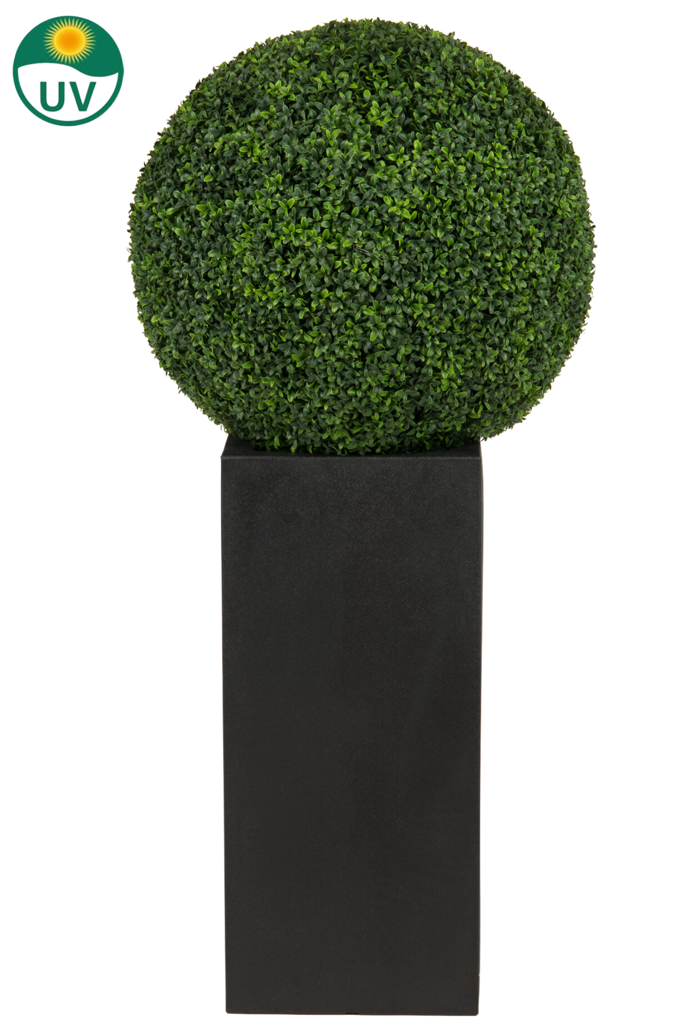 buxus kunstbol in romeinse stijl uv d65cm