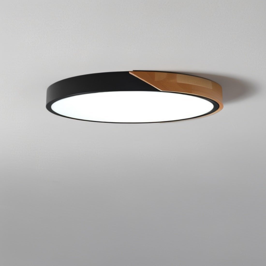 elegante delphi plafondlamp voor een stijlvolle verlichting