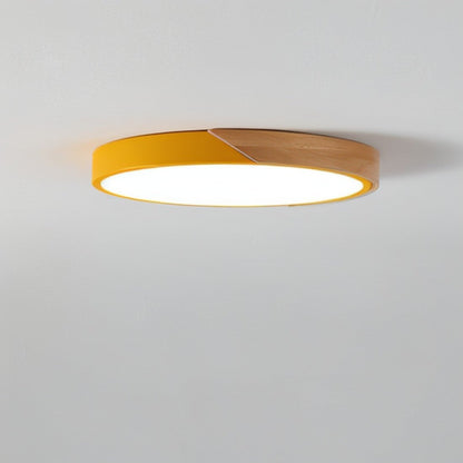 Elegante Delphi Plafondlamp voor een Stijlvolle Verlichting