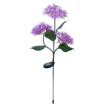 Zonne-tuinsieren Zonne-energie Hortensia ontwerp