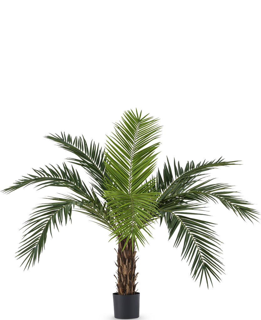 kunstpalm phoenix canarie 160 cm