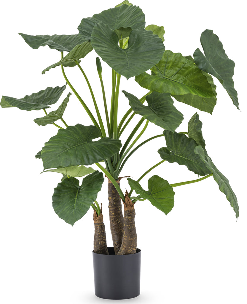 kunstplant alocasia 120 cm