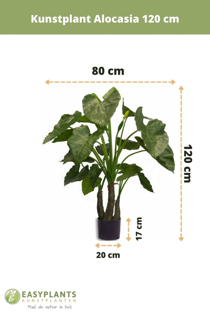 kunstplant alocasia 120 cm