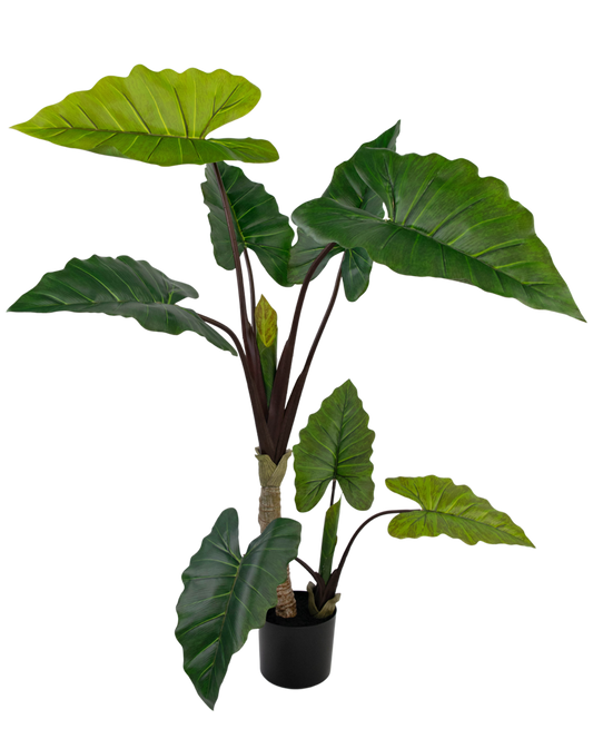 Kunstplant Alocasia 150 cm