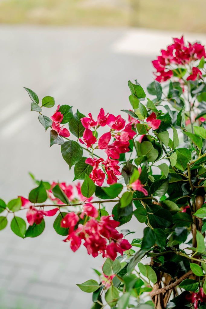 kunstplant bougainvillea liana fuchsia 115 cm