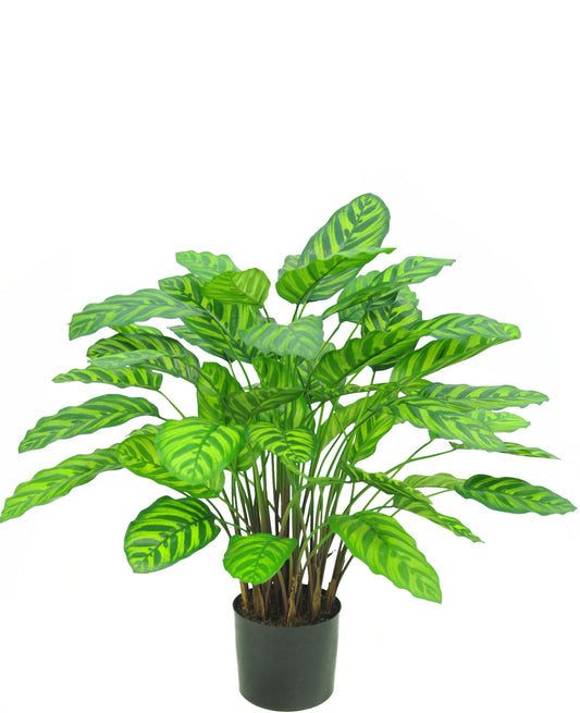 Kunstplant Calathea Makoyana Deluxe 75 cm -> Kunstmatige plant Calathea Makoyana Deluxe 75 cm