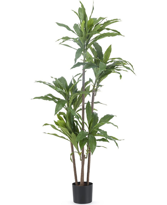 Kunstplant Dracaena Fragrans 150 cm