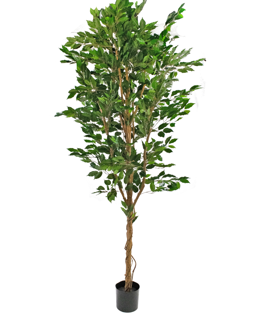 kunstplant ficus groen 210 cm