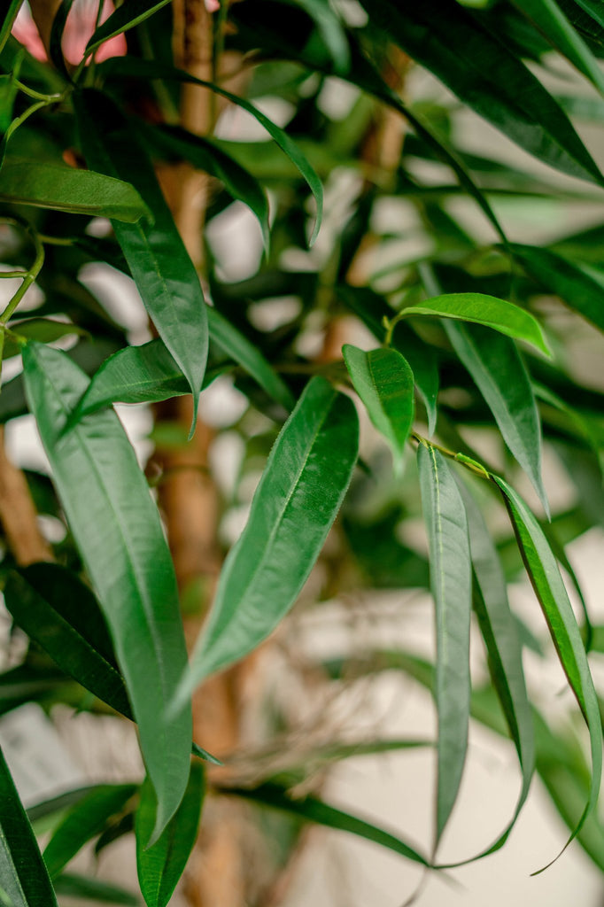 kunstplant longifolia royaal 150 cm -> artificial plant longifolia royal 150 cm