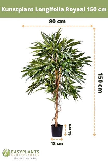 Kunstplant Longifolia Royaal 150 cm -> Artificial plant Longifolia Royal 150 cm