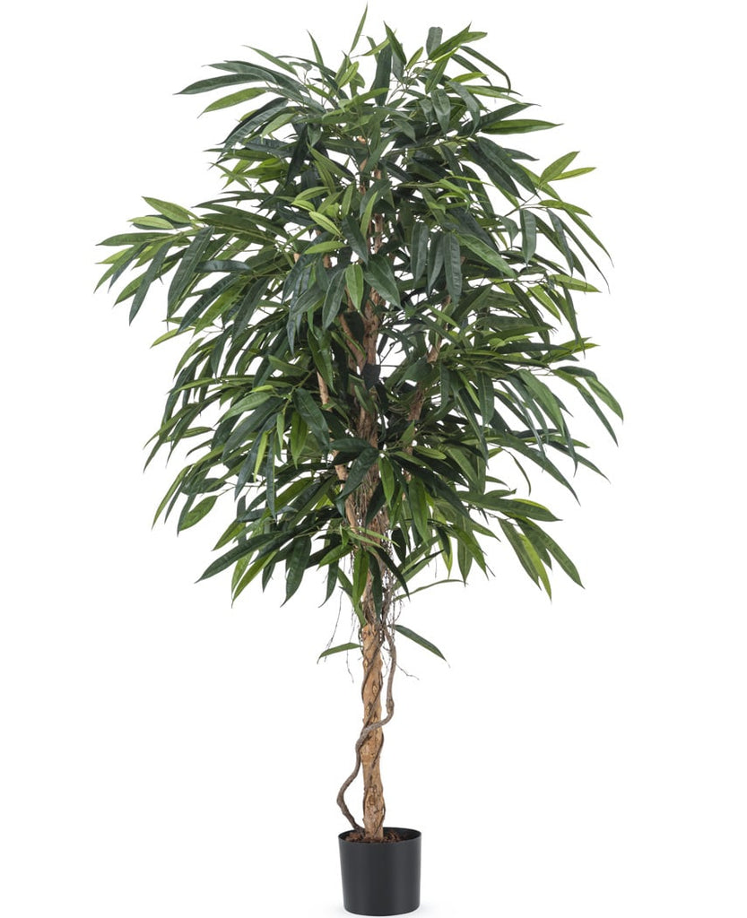 kunstplant longifolia royaal 180 cm