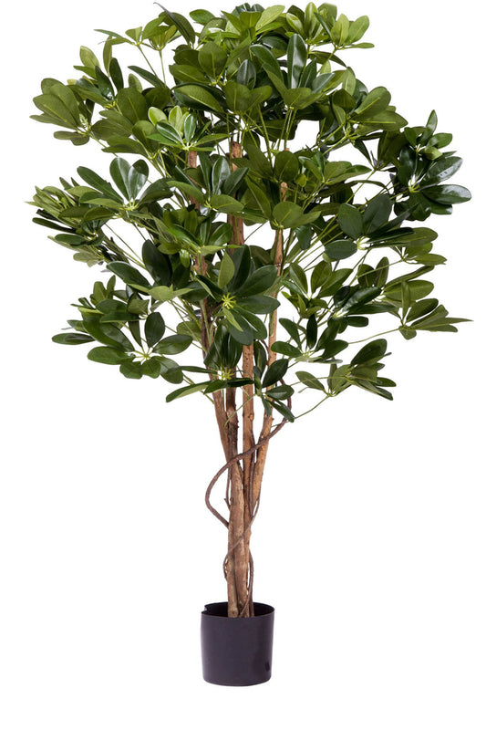 Kunstplant Schefflera 120 cm.