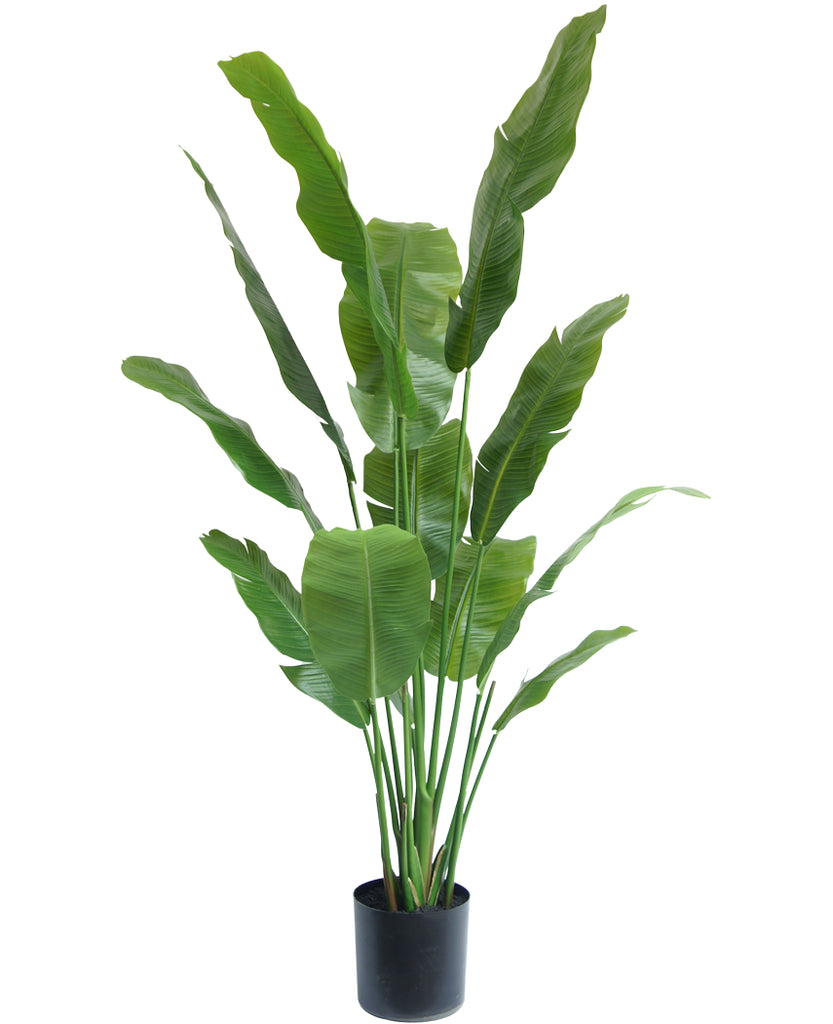 kunstplant strelitzia nicolai 165 cm -> kunstmatige plant strelitzia nicolai 165 cm