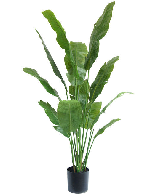 Kunstplant Strelitzia Nicolai 165 cm -> Kunstmatige plant Strelitzia Nicolai 165 cm