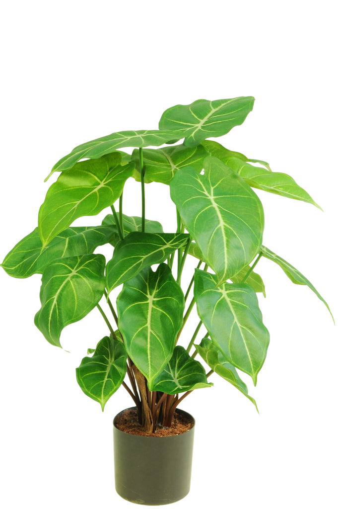 kunstplant syngonium 58 cm