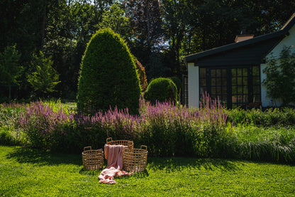 De S'il vous Plaid - Zalm Roze